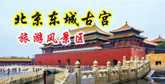 操逼图片天美国产中国北京-东城古宫旅游风景区